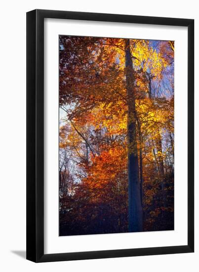 Last Light of the Day Shining Through-George Oze-Framed Photographic Print