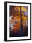 Last Light of the Day Shining Through-George Oze-Framed Photographic Print