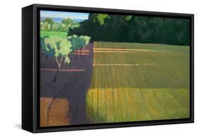 Last Light on Caromb-Ian Roberts-Framed Stretched Canvas