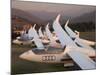 Last Light on Gliders at Fai World Sailplane Grand Prix, Vitacura Airfield, Santiago, Chile-David Wall-Mounted Photographic Print