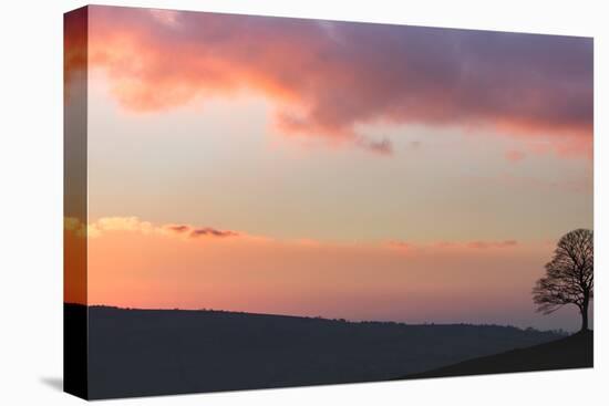 Last Light-Doug Chinnery-Stretched Canvas