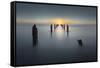 Last Light-Nadav Jonas-Framed Stretched Canvas