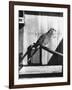 Last Male Passenger Pigeon-null-Framed Photographic Print