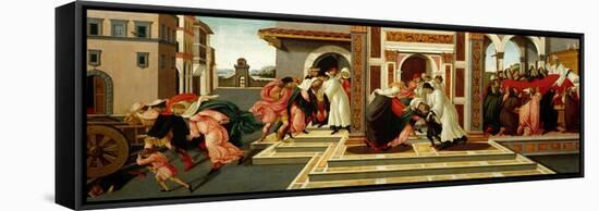 Last Miracle and the Death of Saint Zenobius, C. 1500-Sandro Botticelli-Framed Stretched Canvas