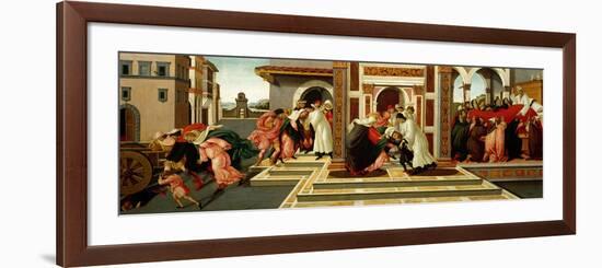 Last Miracle and the Death of Saint Zenobius, C. 1500-Sandro Botticelli-Framed Giclee Print