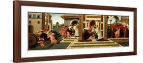 Last Miracle and the Death of Saint Zenobius, C. 1500-Sandro Botticelli-Framed Giclee Print