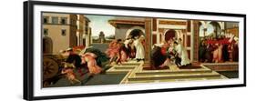 Last Miracle and the Death of Saint Zenobius, C. 1500-Sandro Botticelli-Framed Premium Giclee Print