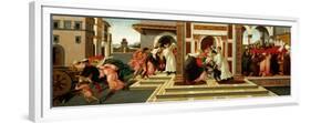 Last Miracle and the Death of Saint Zenobius, C. 1500-Sandro Botticelli-Framed Premium Giclee Print