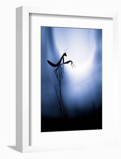 Last Night on Earth-Fabien Bravin-Framed Photographic Print