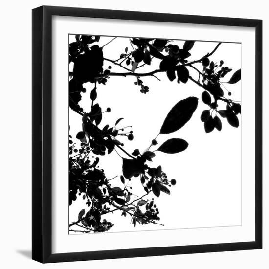 Last of Summer I-Monika Burkhart-Framed Photographic Print