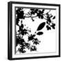 Last of Summer I-Monika Burkhart-Framed Photographic Print