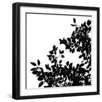 Last of Summer II-Monika Burkhart-Framed Photo