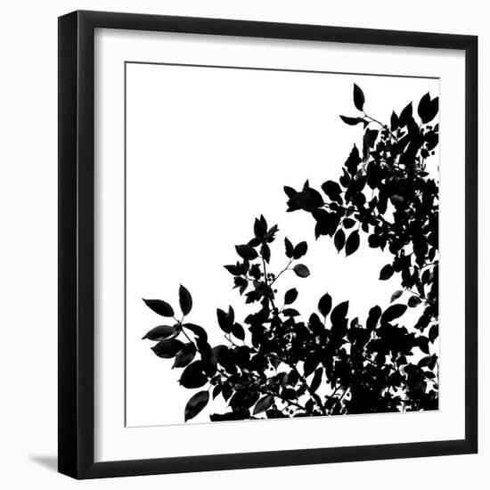 Last of Summer II-Monika Burkhart-Framed Photo