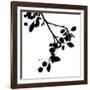 Last of Summer III-Monika Burkhart-Framed Photographic Print