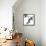Last of Summer III-Monika Burkhart-Framed Stretched Canvas displayed on a wall