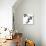 Last of Summer III-Monika Burkhart-Stretched Canvas displayed on a wall