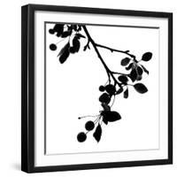 Last of Summer III-Monika Burkhart-Framed Photographic Print