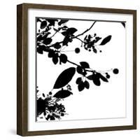 Last of Summer IV-Monika Burkhart-Framed Photographic Print