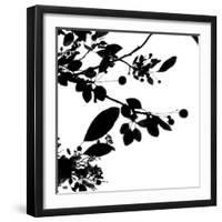 Last of Summer IV-Monika Burkhart-Framed Photographic Print