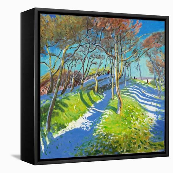 Last of the Snow, Ladmanlow, 2015-Andrew Macara-Framed Stretched Canvas