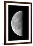 Last Quarter Waning Moon-null-Framed Premium Photographic Print