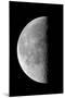 Last Quarter Waning Moon-null-Mounted Premium Photographic Print