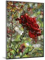 Last Rose of Summer-Mandy Budan-Mounted Giclee Print