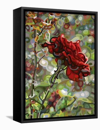 Last Rose of Summer-Mandy Budan-Framed Stretched Canvas