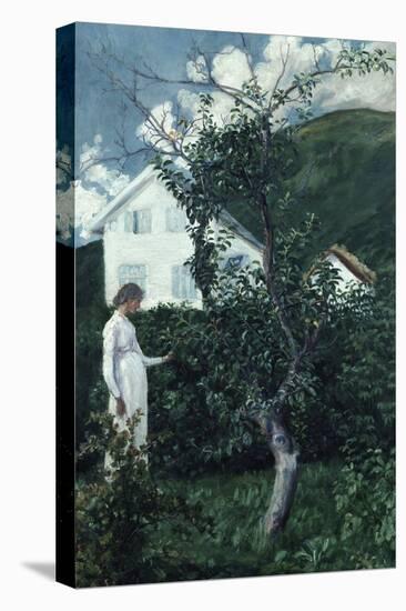 Last summer days, circa 1911-Nikolai Astrup-Stretched Canvas