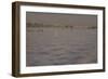 Last Sunshines. a Lake, 1898-1899-Isaak Ilyich Levitan-Framed Giclee Print