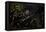 Last Supper-Tintoretto-Framed Stretched Canvas