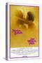 Last Tango in Paris, Marlon Brando, Maria Schneider, US poster, 1972-null-Stretched Canvas