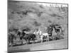 Last Trip of the "Deadwood Coach" Photograph - Black Hills, SD-Lantern Press-Mounted Art Print