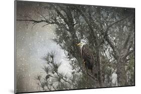 Last Winter Blast Bald Eagle-Jai Johnson-Mounted Giclee Print