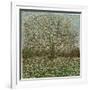 Last Winter's Tree, 2023 (Oil on Linen)-Noel Paine-Framed Giclee Print