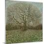 Last Winter's Tree, 2023 (Oil on Linen)-Noel Paine-Mounted Giclee Print
