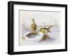 Last Year's Nest-Harry Bright-Framed Giclee Print