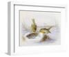 Last Year's Nest-Harry Bright-Framed Giclee Print