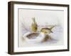 Last Year's Nest-Harry Bright-Framed Giclee Print