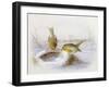 Last Year's Nest-Harry Bright-Framed Giclee Print