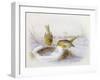 Last Year's Nest-Harry Bright-Framed Giclee Print