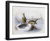 Last Year's Nest-Harry Bright-Framed Giclee Print