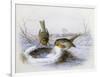 Last Year's Nest-Harry Bright-Framed Giclee Print