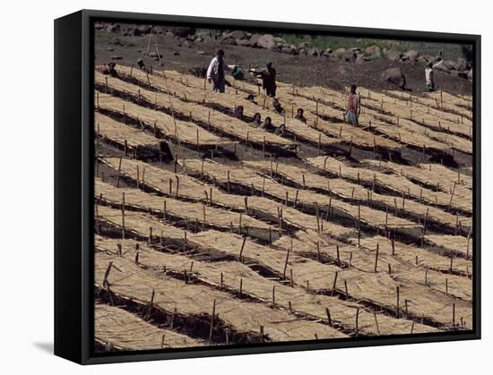 Lasta Valley, Wollo Region, Ethiopia, Africa-Bruno Barbier-Framed Stretched Canvas