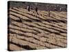 Lasta Valley, Wollo Region, Ethiopia, Africa-Bruno Barbier-Stretched Canvas