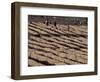 Lasta Valley, Wollo Region, Ethiopia, Africa-Bruno Barbier-Framed Photographic Print