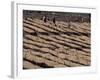 Lasta Valley, Wollo Region, Ethiopia, Africa-Bruno Barbier-Framed Photographic Print