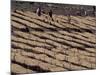 Lasta Valley, Wollo Region, Ethiopia, Africa-Bruno Barbier-Mounted Photographic Print