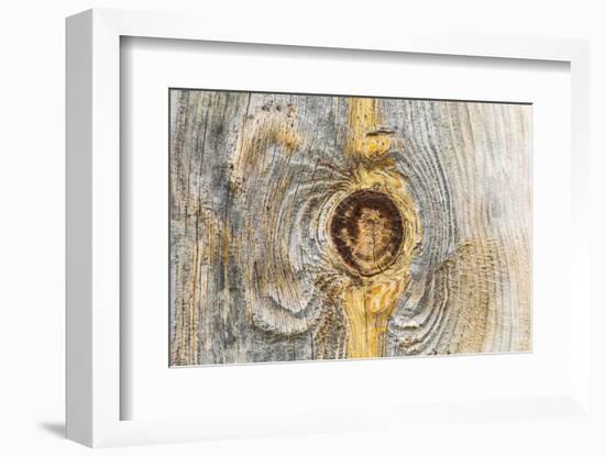 Latah, Washington State, USA. Knot in weathered wood on an old barn.-Emily Wilson-Framed Photographic Print