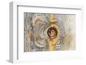 Latah, Washington State, USA. Knot in weathered wood on an old barn.-Emily Wilson-Framed Photographic Print